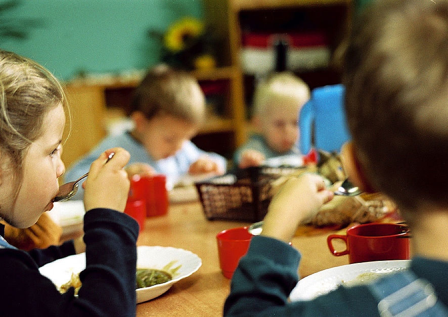  Kindergarten Wurzelwerk - Kreisverband Lüneburg e.V. Bildidee 